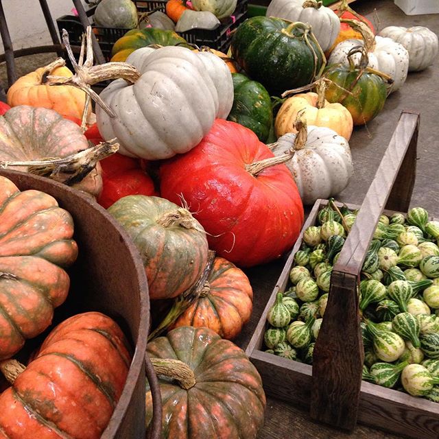October feature pumpkins