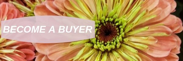 BECOME A BUYER